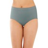 Bali Womens Comfort Revolution Microfiber Seamless Brief, 9