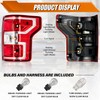LIWEDFG Tail Light Assembly Compatible with Ford F150 2018 2019