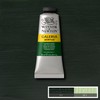 Winsor & Newton Galeria 60ml Hookers Green, Acrylic, 5 x