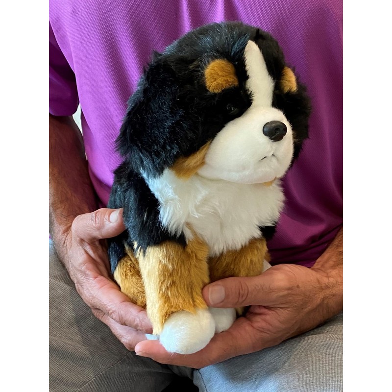 Bernese Puppy Companion