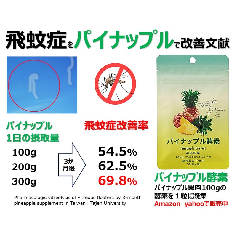 パイナップル酵素 Pineapple Enzyme＜1袋＞10mg（2400GDU/g）/粒 腸溶カプセル 凍結乾燥 蛋白溶解