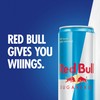 Red Bull Sugar Free Energy Drink with 151mg Caffeine plus