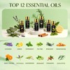 Top 12 Essential Oils Set, Pure Essential Oil for Diffuser,