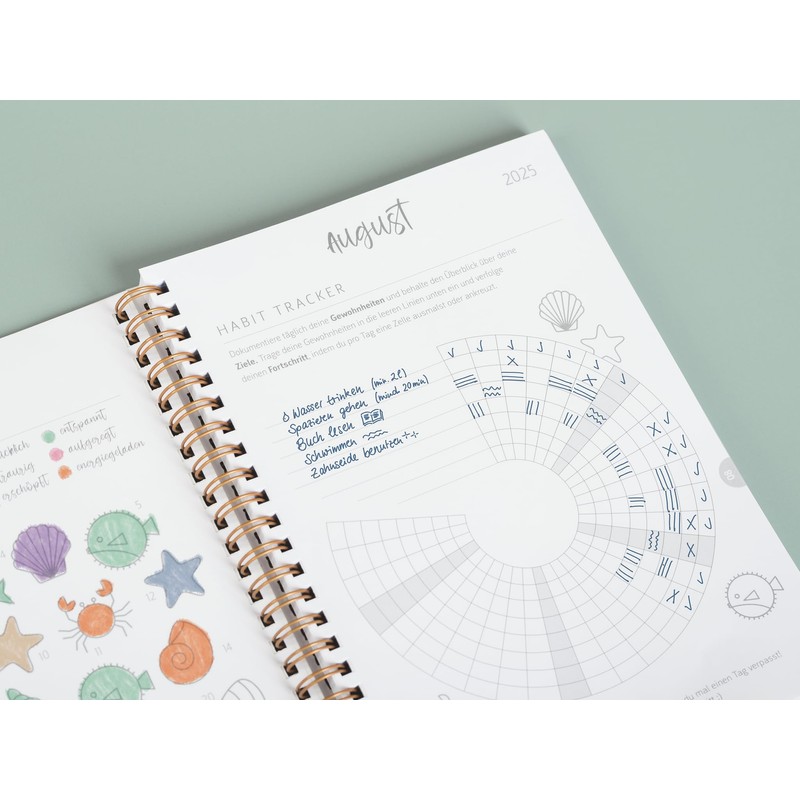 BRUNNEN School Calendar Style 2025/2026 "Clouds" | A5, Plastic