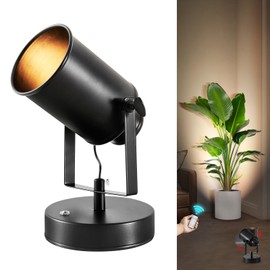 Vitnucrol 1 Pack Wireless Uplighting Indoor with Remote, Rechargeable Floor Spotlight Built-in 5200mAh Battery, Angle Adjustment, 3 Color Temperature Dimmable Up Lights Indoor for Plant Tree