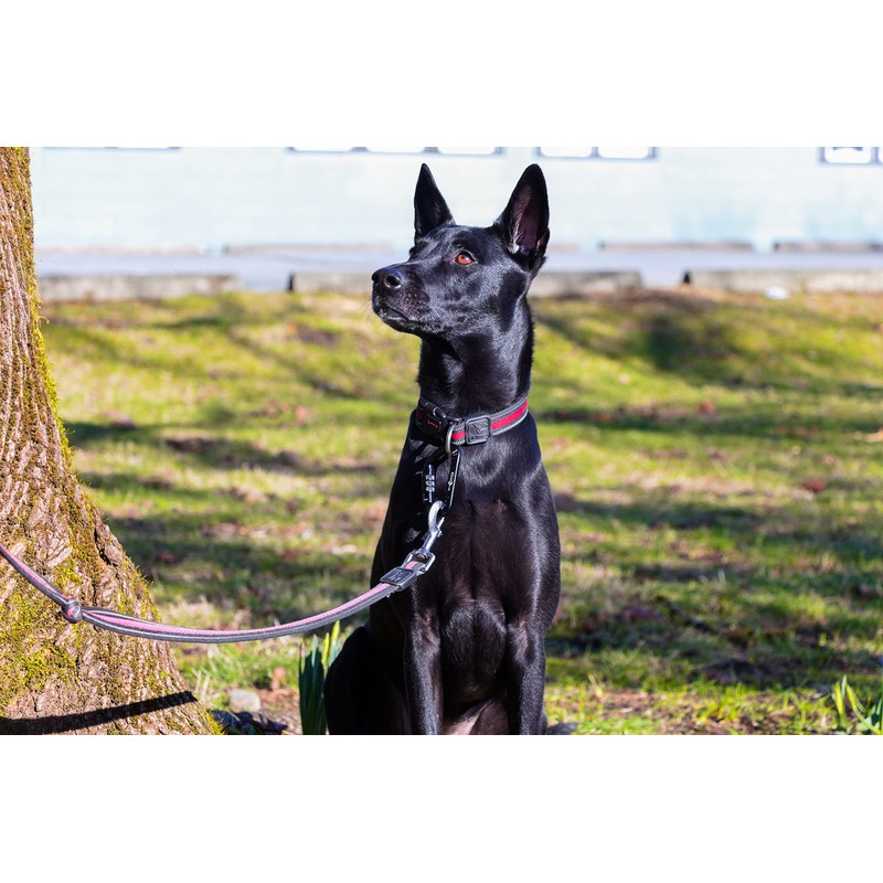 RHINO Produxs 12kN (2697 lbs) Heavy Duty, Locking, Auto Locking,