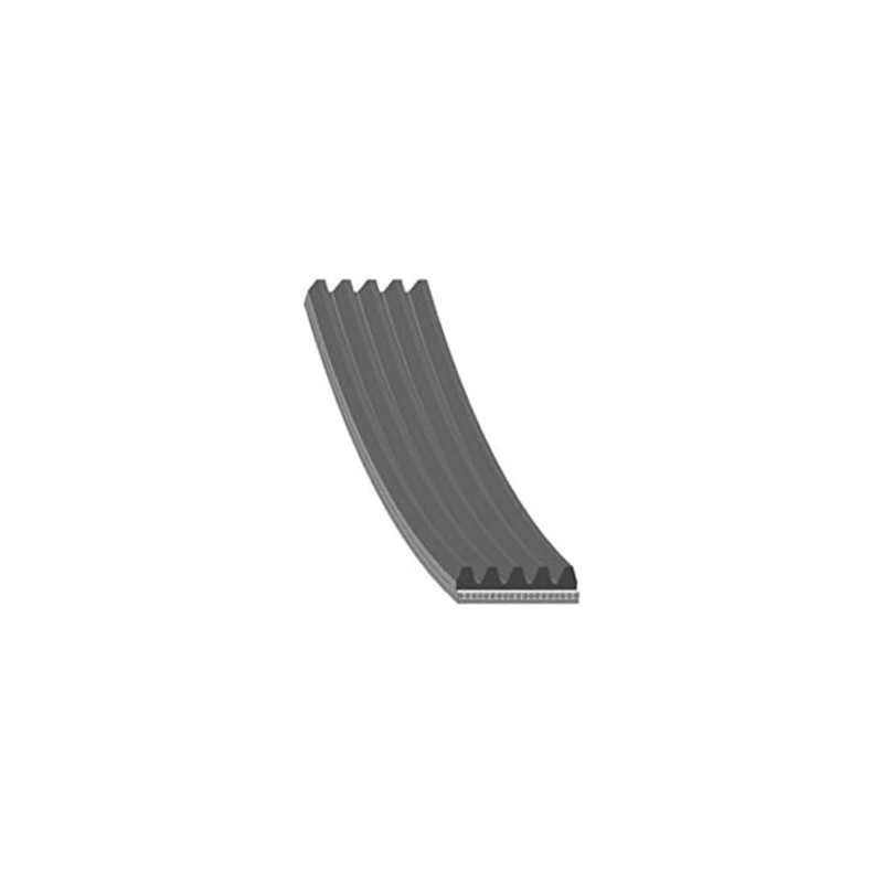 febi bilstein 45829 Auxiliary Belt, pack of one