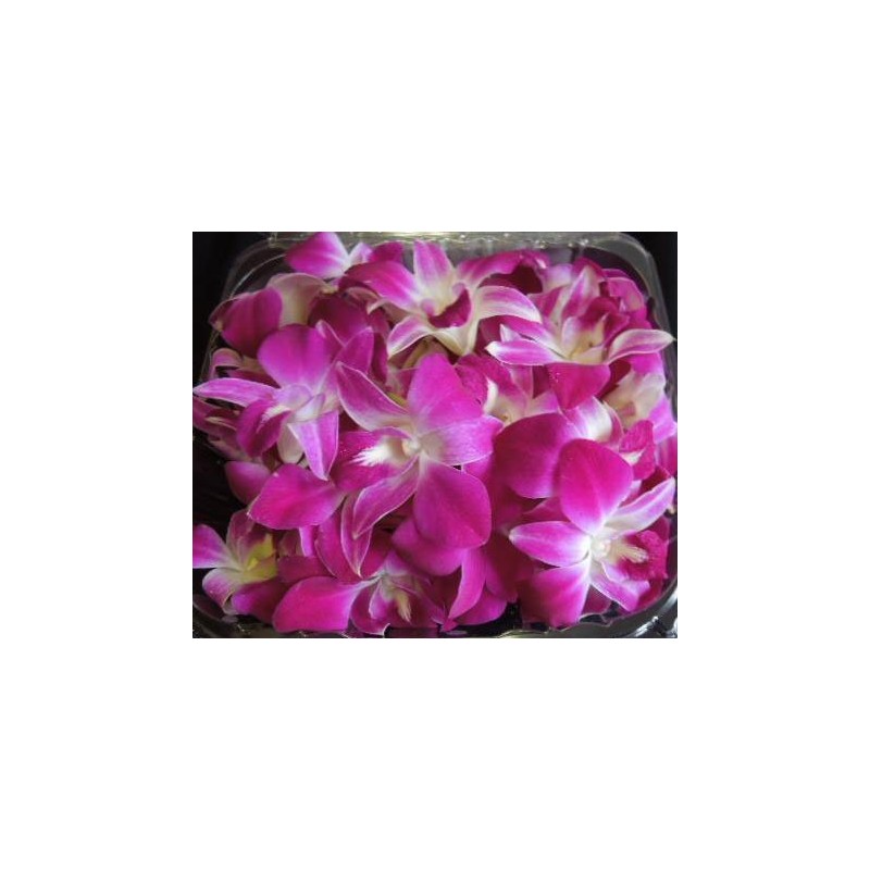 Fresh Loose Purple Dendrobium Orchid Blossoms 50 ct.