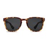 Kaenon Avalon Unisex Polarized Sunglasses, Tokyo Tortoise