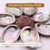 BRBASAP Large Abalone Shell Bowl 4.3-4.7 Inch Fire Safe Sage