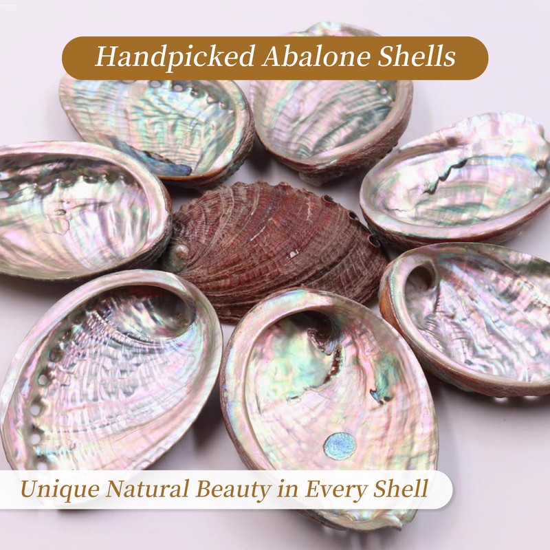 BRBASAP Large Abalone Shell Bowl 4.3-4.7 Inch Fire Safe Sage