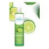 Shelo Kit Shampoo + Tonico De Bergamota, Cabello Y Barba