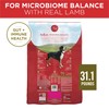 Purina ONE Dry Dog Food Lamb and Rice Formula -