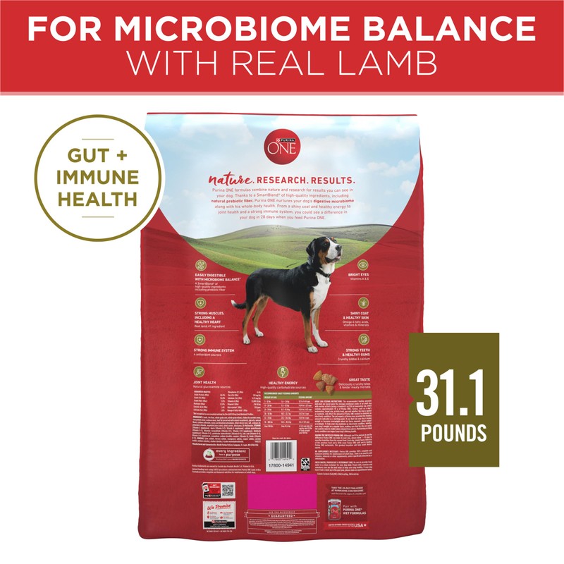 Purina ONE Dry Dog Food Lamb and Rice Formula -