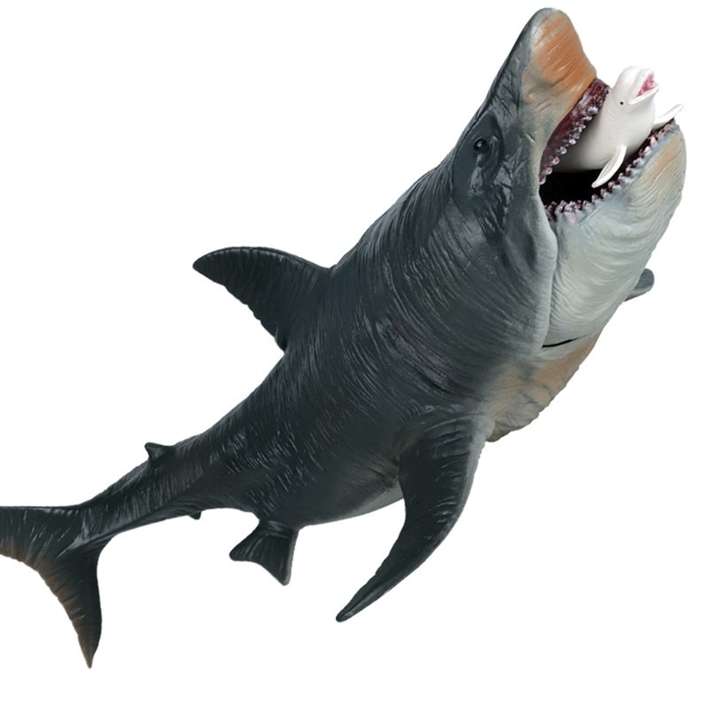 Megalodon Great White Shark, Sea Animals, Fish, Animal Set, 11