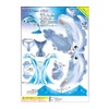 Paper Craft Craft Series (Sea Creatures Edition), Dolphin and Emperor