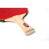 JOOLA Family Premium Table Tennis Bundle Set - 4 Regulation