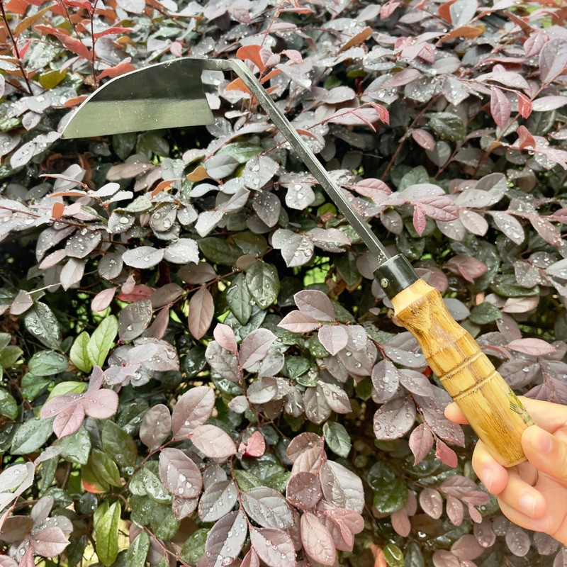 alanx 12 Inch Japanese Gardening Hand Weeding Sickle, Weeding Hoe