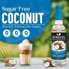 Syruvia Sugar Free Coconut Syrup 25.4 fl oz, Perfect for