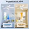POCHFAN 42 Inch White Ceiling Fans with Lights and Remote,