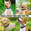 Reflective Dog Collar, Adjustable Nylon Collars with Safety Buckle, Pet