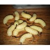 1 Dozen Rubber Maggots #10-12 Pcs Crappie Jigs, Bulk Fishing