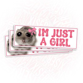 (3Pcs) I'm Just a Girl Sticker Hamster Meme Sad Funny Cute for Car 2" Sticker Waterproof Vinyl Sticker for Laptop, Water Bottle, Tumbler, Accessory Hard Hat Gifts for Her Him 2 Inches