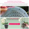 Meshpot 5 inch Orchid Pots with Holes for Repotting with
