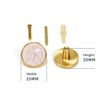 EVERGD 27mm Pure Copper Handle Shell Brass Gold Wardrobe Kitchen