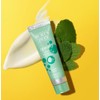 Paquete de 6 bálsamos labiales Burt's Bees Squeezy - Menta