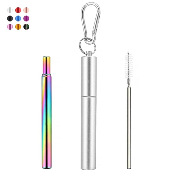YOKRWO 1 Pack Collapsible Stainless Steel Drinking Straws，Reusable Straws，Cruise Essentials，Stainless