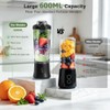 Portable USB-C Blender for Smoothies and Shakes - 20 oz
