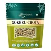 Brijbooti Gokhru Chota 100 Gr - Tribulus Terrestris Seeds -