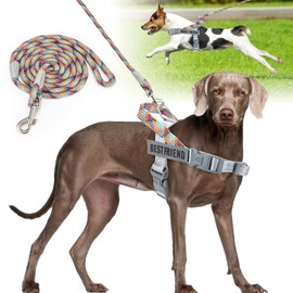 Onlyesh Dog Harness with Leash, No Pull Harness for Dogs (Silver, L)