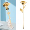 24K Gold Plated Rose Clear Texture Romantic Exquisite Long Lasting