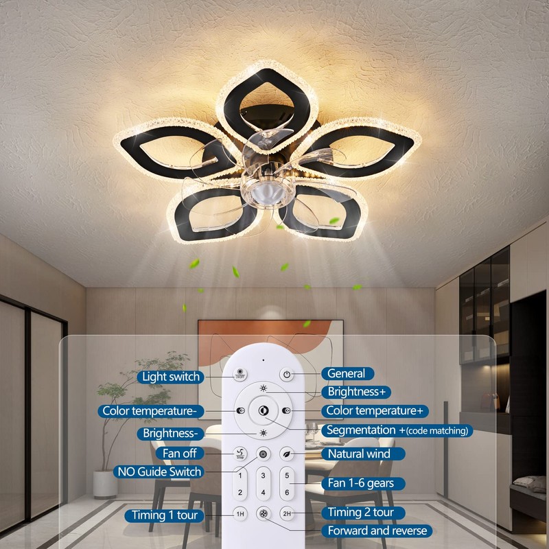 Dalouguan 21-Inch Ceiling Fan with Lights and Remote Control, Black