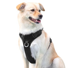 No Pull Dog Harness for Small Medium Large Dogs - Adjustable Two-Layer Mesh Dog Vest with Dual Clip, Escape Proof, Quick Release, Lightweight Breathable Mesh for Walking Hiking (Black,M)