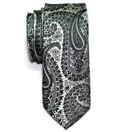 (リトリーズ) RETREEZ ペイズリー アート柄 マイクロファイバー 織り生地 細ネクタイ - ブラック地&シルバー