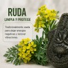 Jabón De Ruda Romero Albahaca Y Lavanda Limpieza Energética