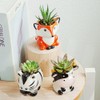 DIYOMR Cute Animal Ceramics Planter Small Succulent Pot Cartoon Shaped