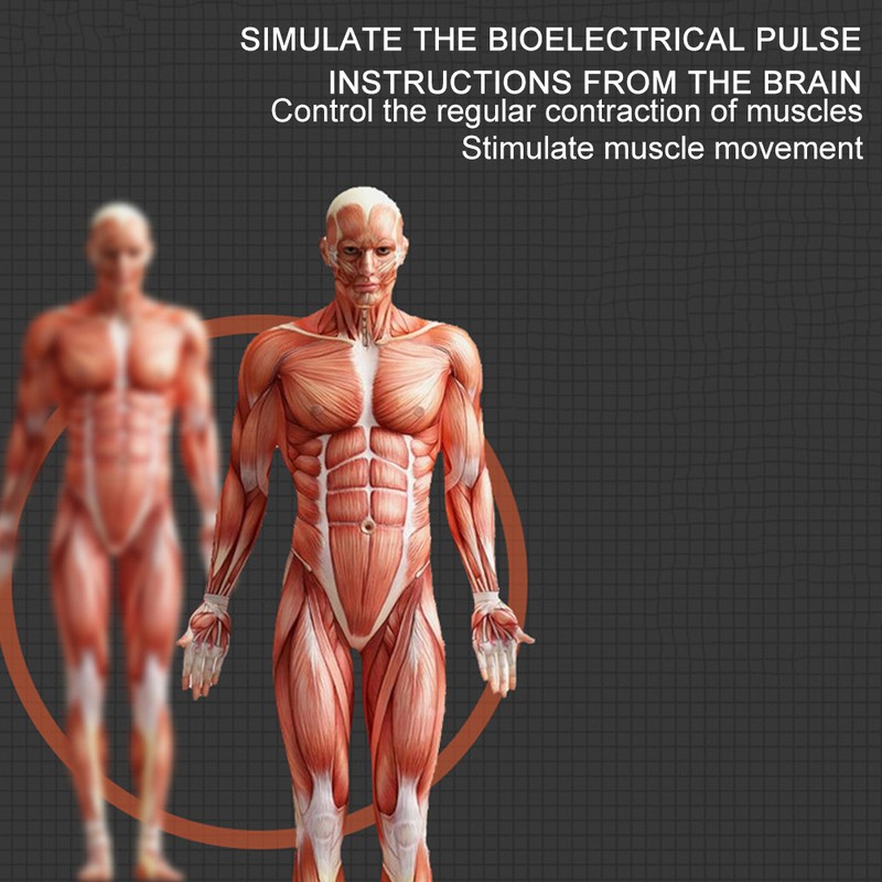 Abdominal Muscle Stimulator Body Toning Trainer ABS Arm Stimulator Training