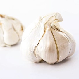 Elephant Garlic. Grown in California. 2 Huge Bulbs. Delicious milder, mellower flavor. Great for Cooking, Eating and Planting. Great Health Benefits