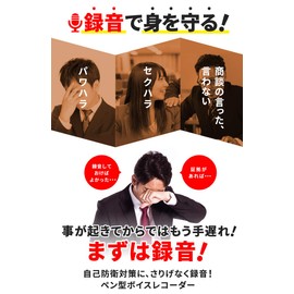 BESET VR-P003R-SV Pen Shape Silver Voice Recorder with Date and Time Recorder