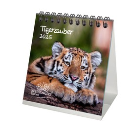 Tiger Magic Calendar for 2025 Format 10 cm x 10 cm Tiger Seelenzauber