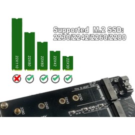Valuegist Dual M.2 PCIE Adapter for SATA or PCIE NVMe SSD, M.2 SSD NVME (m Key) and SATA (b Key) 2280 2260 2242 2230 to PCI-e 3.0 x 4 Host Controller Expansion Card (MBkeyWithSink)