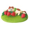 Deco Corporation Strawberry Fields ZCB-62722