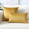 Artscope Luxury Velvet Pillow Covers Super Soft Decorative Square Throw