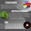 Suplemento Reductivo Peptónico Reductor De Cortisol 90 Cáps.
