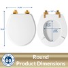 Mayfair Bennett Toilet Seat with Brushed Gold Hinges, Slow Close