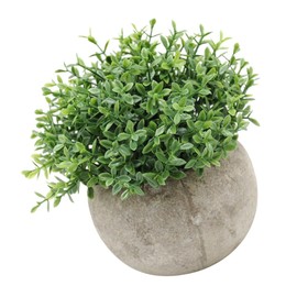 Plantas Verdes Plantas En Macetas Plantas Artificiales Kit De Decoración Mini Césped Artificial En Maceta                                             